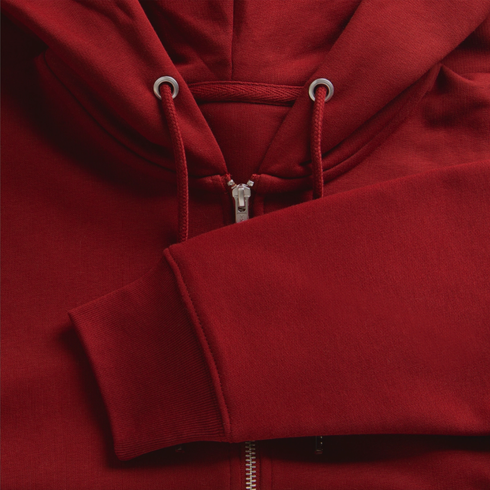 Cosmic Dynasty Hoodie - burgundy