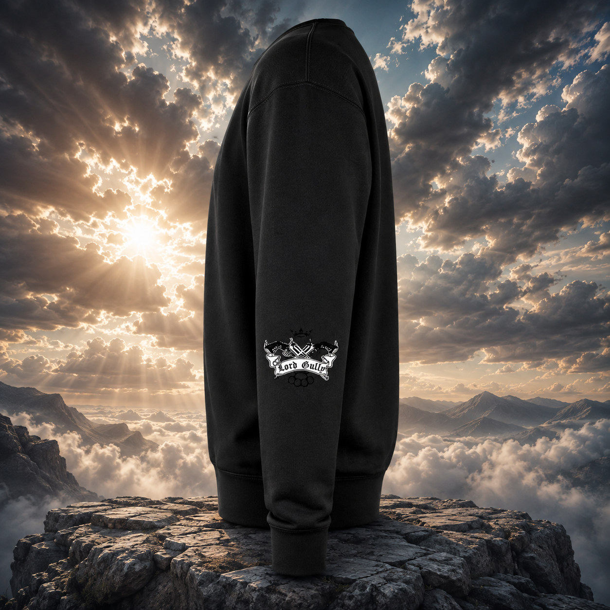 AS2 Wings Crewneck